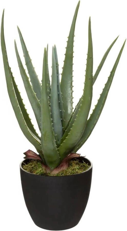 Atmosphera Aloe vera kunstplant in pot van cement 42 cm Kunstplanten