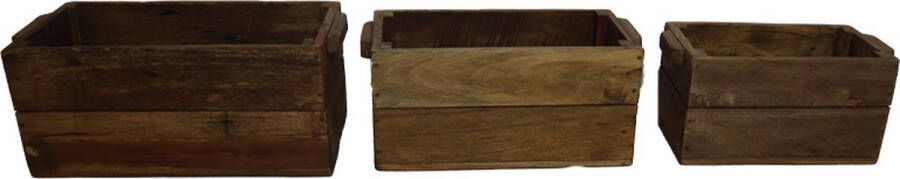 Dijk Natural Collections DKNC Krat gerecycled hout Set van 3 45x25x20cm Natuurlijk