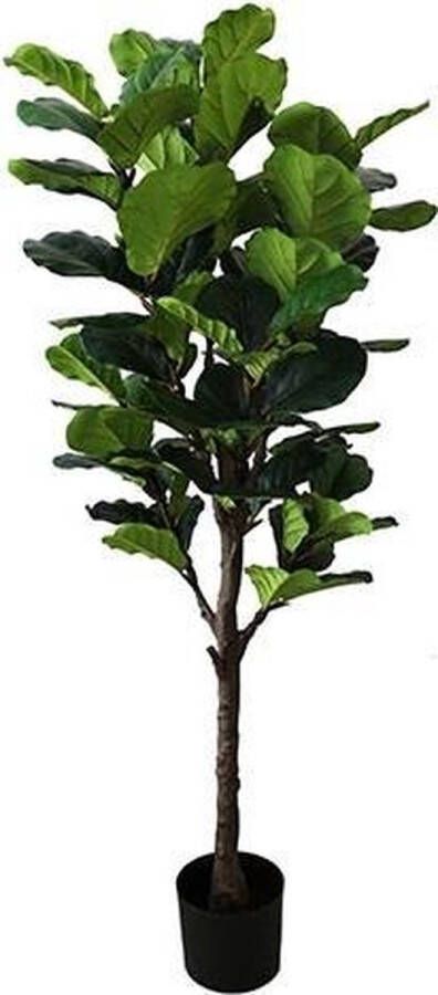 Warentuin Ficus Lyrata 160 cm kunstplant Buitengewoon de Boet