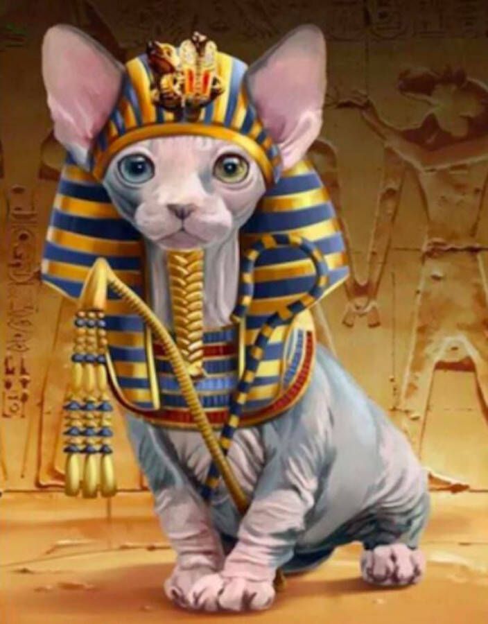 E-Style.Shop Diamond Painting – Prachtige Naaktkat “Sfynx” in het Oude Egypte – 30x40 cm -Volledige bedekking Vierkante steentjes – Inclusief tools