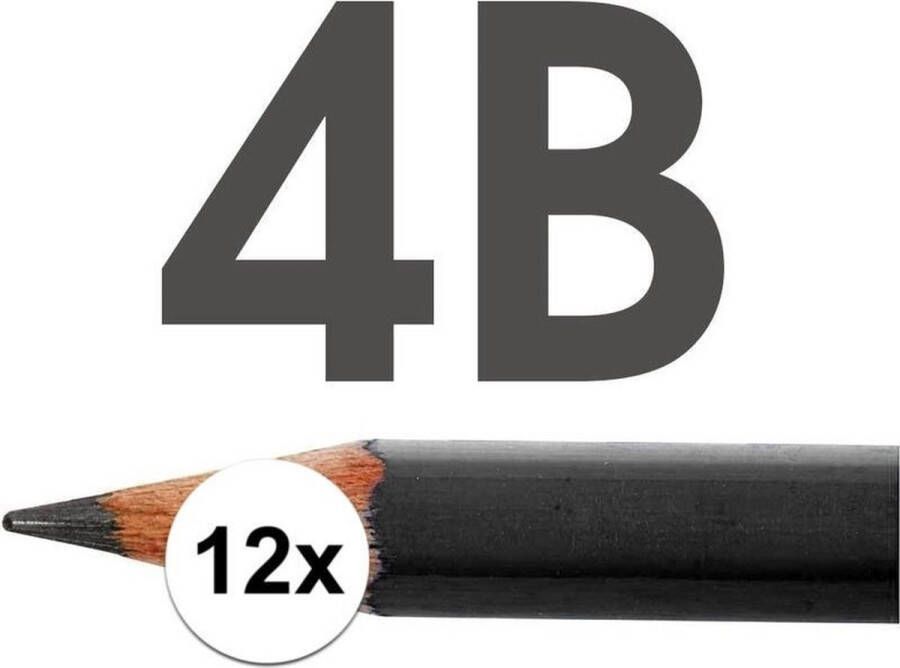 Merkloos 12x 4B potloden voor professioneel gebruik Tekenpotloden