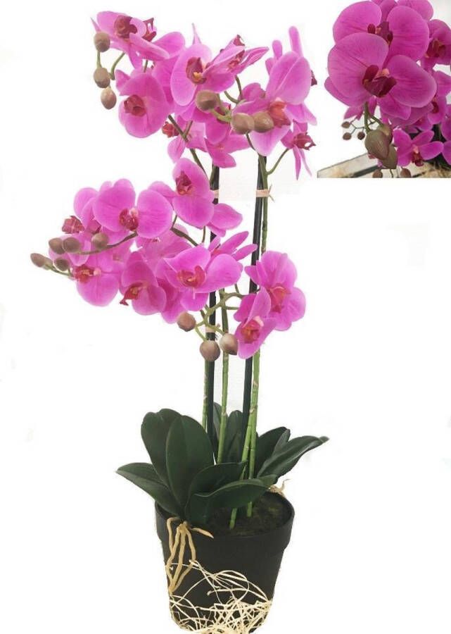 HEM Levensechte Kunst Orchidee Phalaenopsis plant 75 cm met pot ( 5-taks vol bloemen) kleur Roze Kunstplant