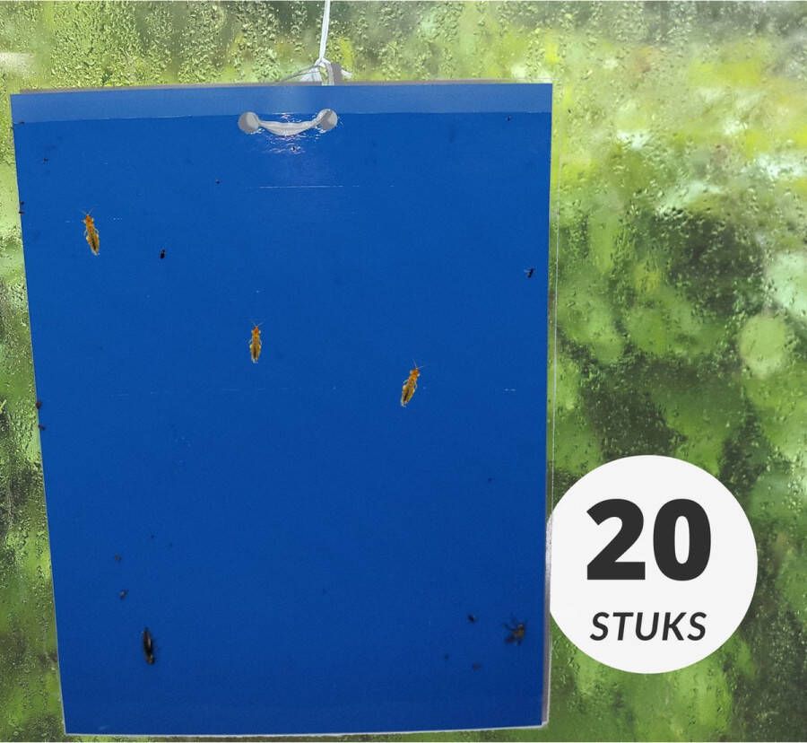 HUZZL blauwe lijmvallen 20 stuks tegen thrips trips insecten vangplaten lijmplaten voor binnen buiten kweektent of kas