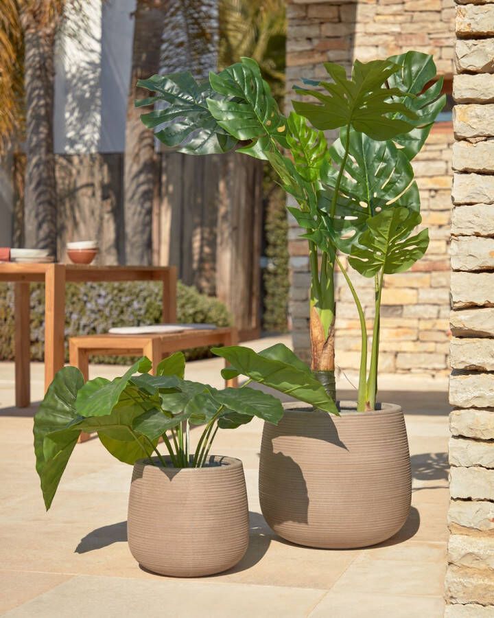 Kave Home Kunstmatige Alocasia Odora met zwarte plantenpot 57 cm