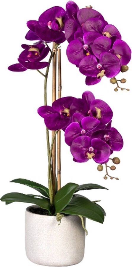 Kopu Kunstbloem Orchidee 60 cm Lila cement Sierpot Phalenopsis