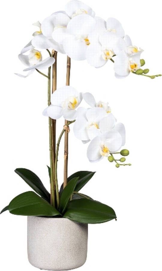 Kopu Kunstbloem Orchidee 60 cm Wit met cement Sierpot Phalenopsis