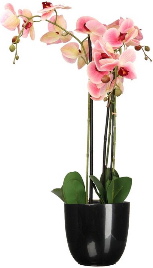 Mica Decorations Orchidee kunstplant roze 75 cm inclusief bloempot zwart glans Kunstbloemen in pot
