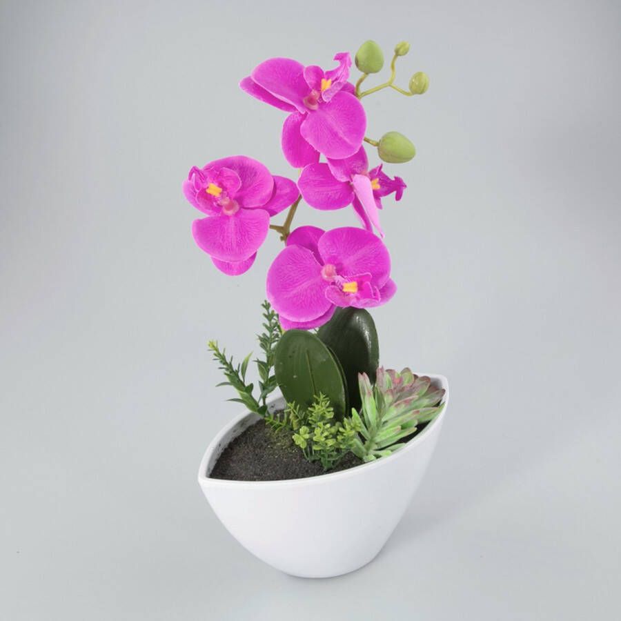 Oosterik Home Orchidee in kunststof pot lavendel L