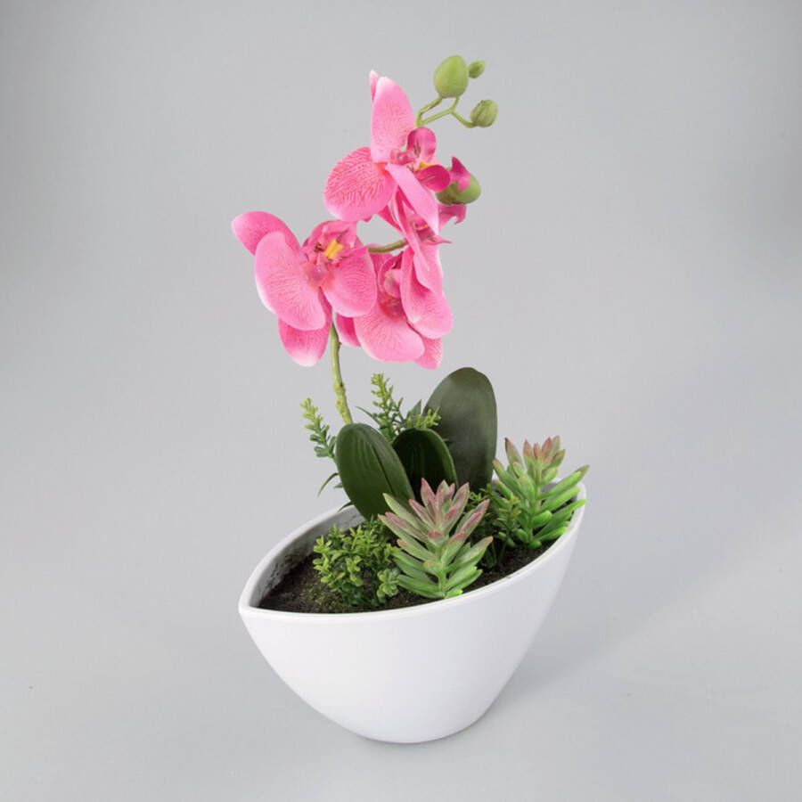 Oosterik Home Orchidee in kunststof pot roze L