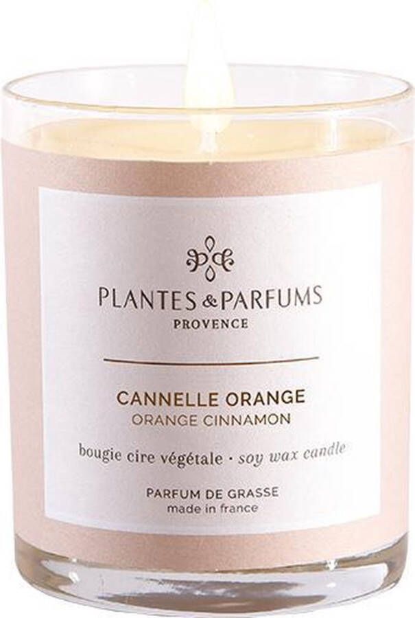 Plantes & Parfums Natuurlijke Orange Cinnamon(Kaneel) Sojawas Geurkaars(tevens handcrème)I Houtige & Kruidige Geur I 180g I 40u