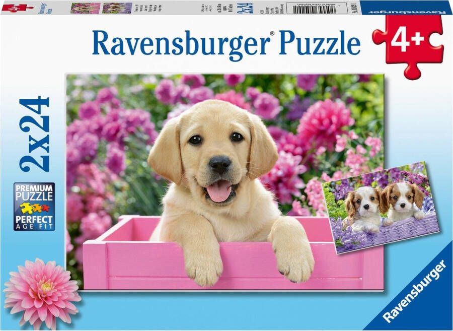 Ravensburger puzzel Dierenfoto´s 2x24 stukjes kinderpuzzel
