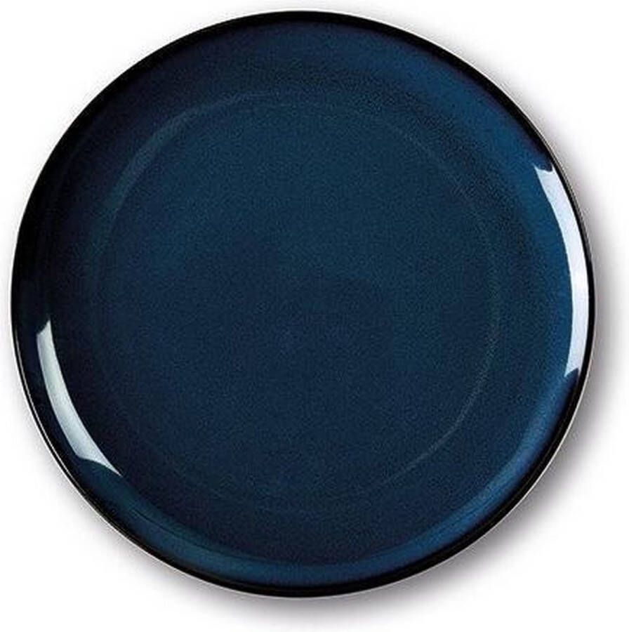 Sanodegusto tempcontrol bord Feestdagen tip voorgerecht dessert koude gerechten diepvries bestendig 27cm donker blauw bord 2 stuks