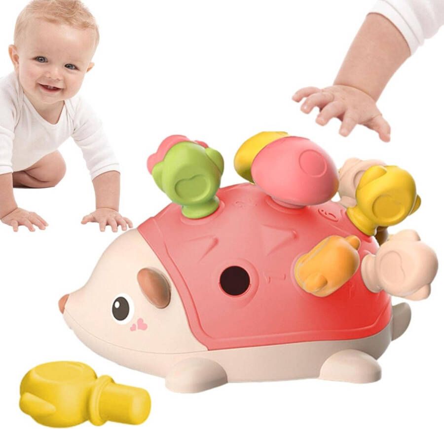 Sobebear Egel Montessori Speelgoed Roze Educatief Speelgoed voor Kinderen Vanaf 18 Maanden Stimuleert de Motoriek en Creativiteit