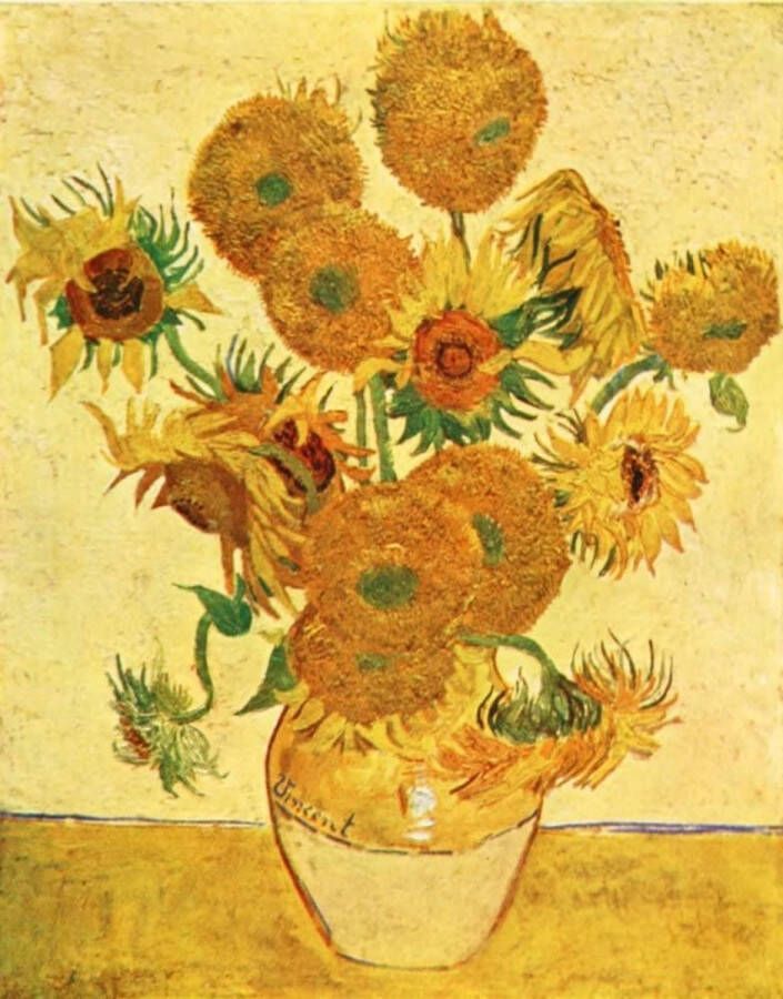 I-wannahave Diamond painting Van Gogh vaas met zonnebloemen 40 x 50 cm met frame