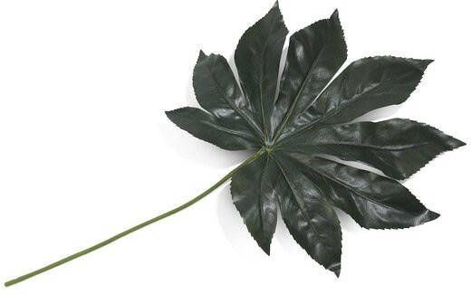 Coppens Fatsia leaf kunstplant 55cm