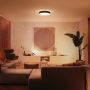 Philips Hue Enrave plafondlamp warm tot koelwit licht zwart 55cm 1 dimmer switch - Thumbnail 2