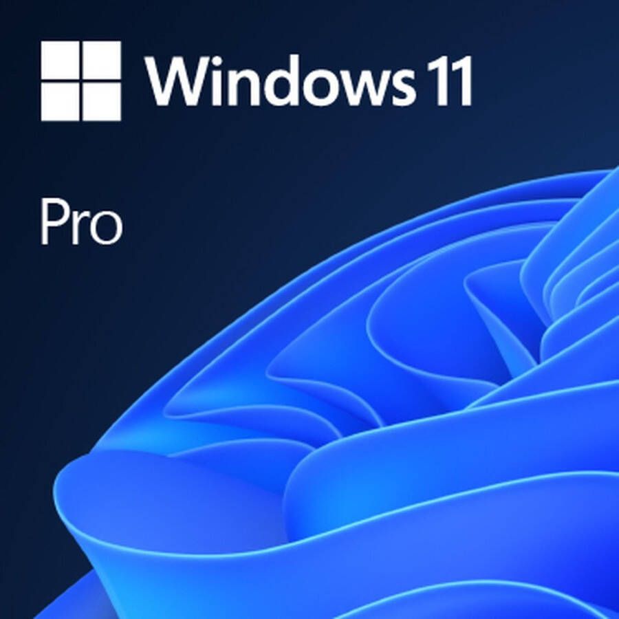 Microsoft Windows 11 Pro 64 Bit DVD OEM FR | Software | 0889842905939