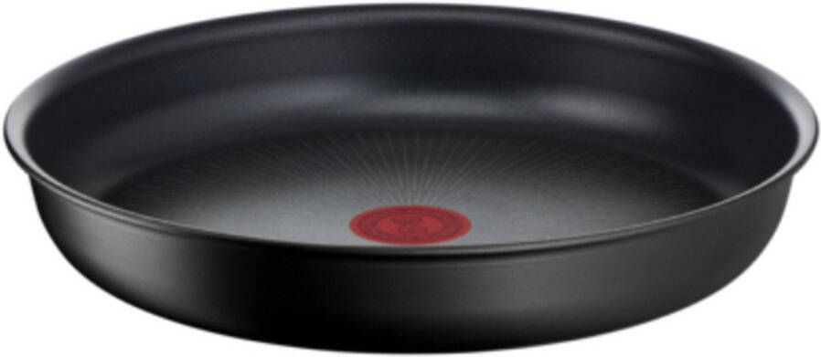 Tefal Braadpan Ingenio Unlimited 22cm + Greep L7630343 | Potten&Pannen | 3168430343245