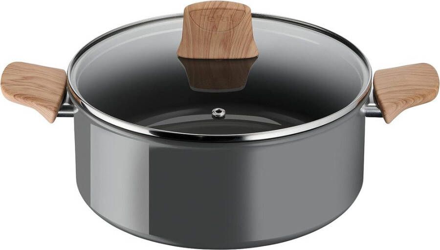 Tefal Renew Braadpan 24cm | Potten&Pannen | Keuken&Koken Keukengerei | 3168430347489