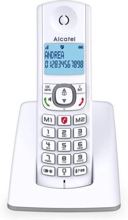 Alcatel F530 Solo Draadloze telefoon zonder antwoordapparaat Grijs