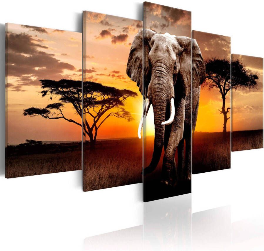 Artgeist Canvas Schilderij Elephant Migration 5-luik 225x100cm