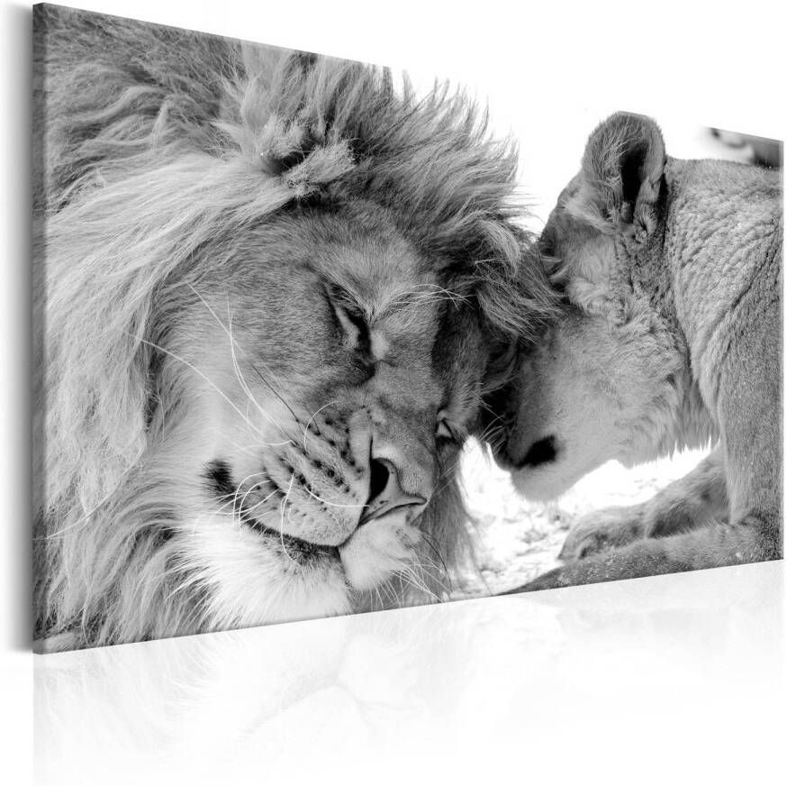 Artgeist Canvas Schilderij Lions Love 120x80cm