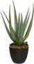 Atmosphera Aloe vera kunstplant in pot van cement 42 cm Kunstplanten - Thumbnail 2