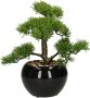 Atmosphera Bonsai in keramische pot 36 cm Kunstplanten Nepplanten - Thumbnail 2