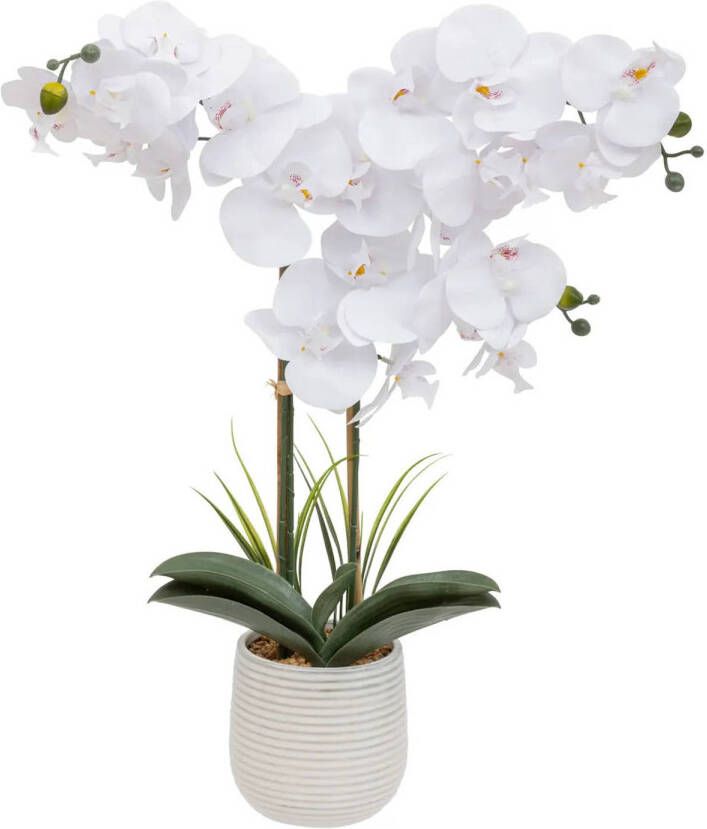 Atmosphera Orchidee bloemen kunstplant in een witte bloempot witte bloemen H60 cm Kunstplanten