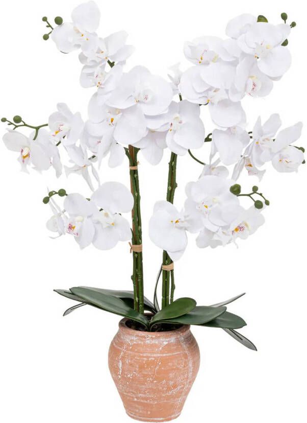 Atmosphera Orchidee bloemen kunstplant in sierlijke terracotta bloempot witte bloemen H65 cm Kunstplanten