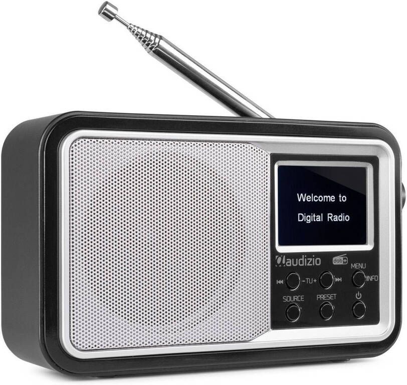 Audizio Draagbare DAB radio met Bluetooth Parma wekkerradio FM radio retro radio Zilver