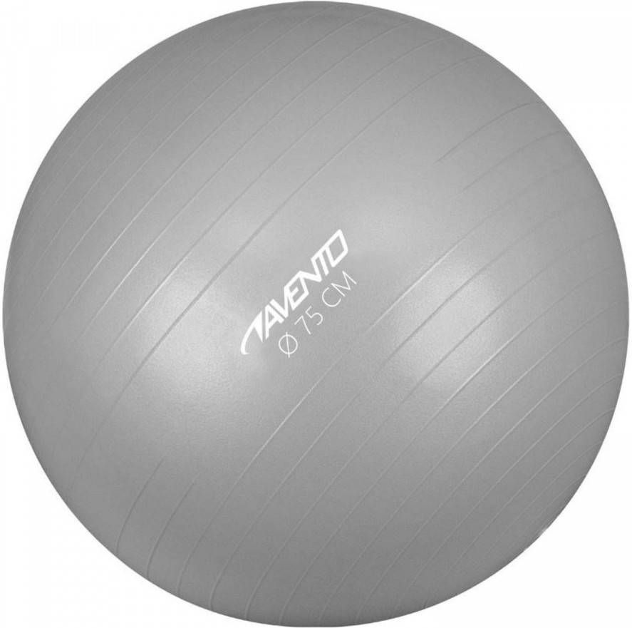 Avento fitnessbal 75 cm 1 3 kilo zilver