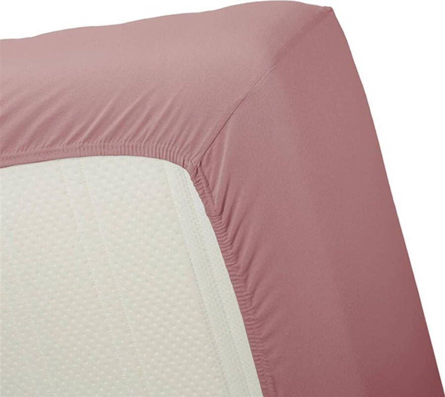 Beddinghouse Hoeslaken Jersey Pink-2-persoons (140 x 200 210 220 cm)
