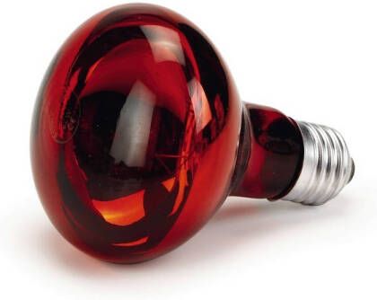 Beeztees Infrarood Warmtelamp R80 60w