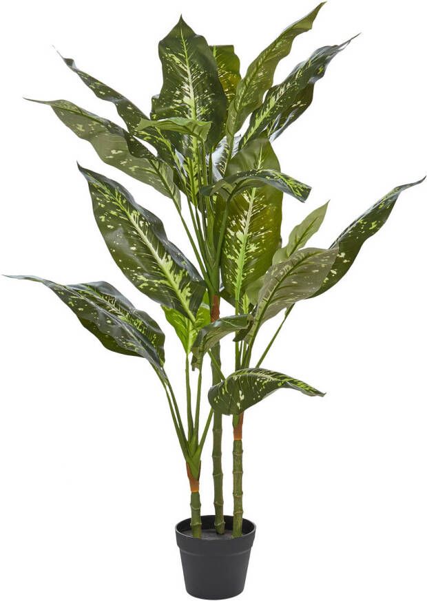 Beliani DIEFFENBACHIA Kunstplant-Groen-Synthetisch materiaal