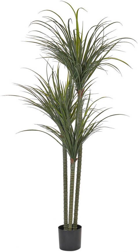 Beliani DRACAENA ANITA Kunstplant-Groen-Synthetisch materiaal