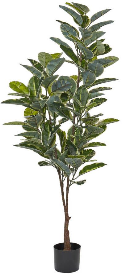 Beliani FICUS ELASTICA Kunstplant-Groen-Synthetisch materiaal