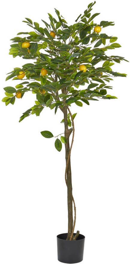 Beliani LEMON TREE Kunstplant-Groen-Synthetisch materiaal