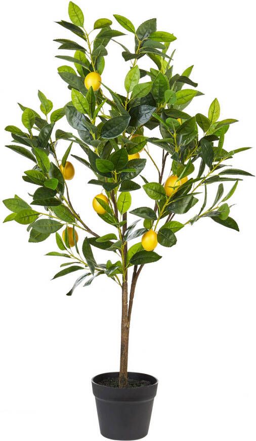 Beliani LEMON TREE Kunstplant-Groen-Synthetisch materiaal