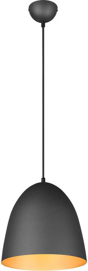 BES LED Hanglamp Hangverlichting Trion Lopez E27 Fitting 1-lichts Rond Mat Zwart Goud Aluminium