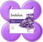 Bolsius Maxilicht geur 8 stuks True Scents 117x117x45 Lavender - Thumbnail 2