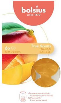 Bolsius Wax melts pack 6 True Scents Mango