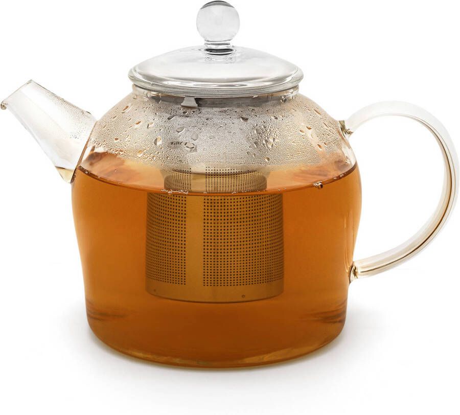 Bredemeijer minuet santhee glazen theepot 0 5L met filter