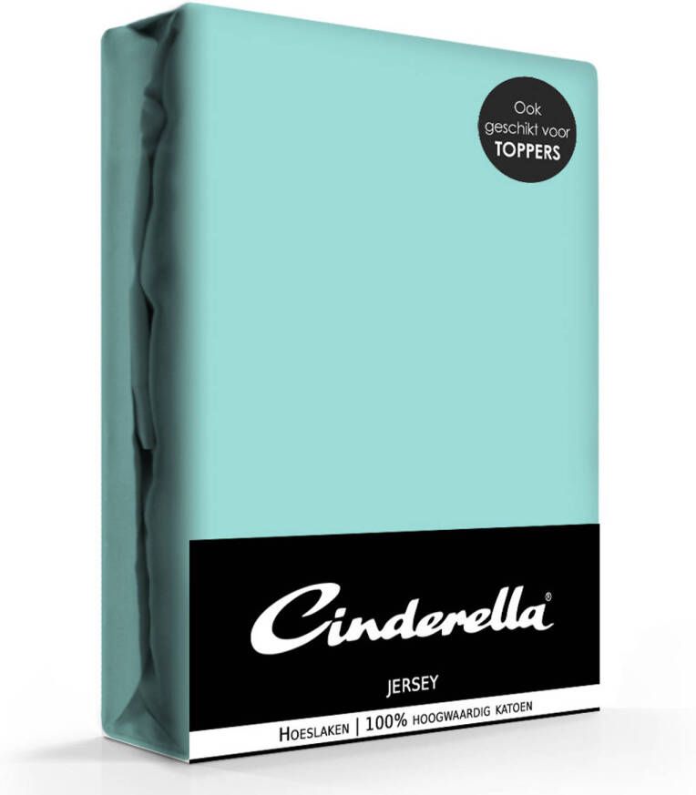 Cinderella jersey hoeslaken mineral-200 x 210 220 cm