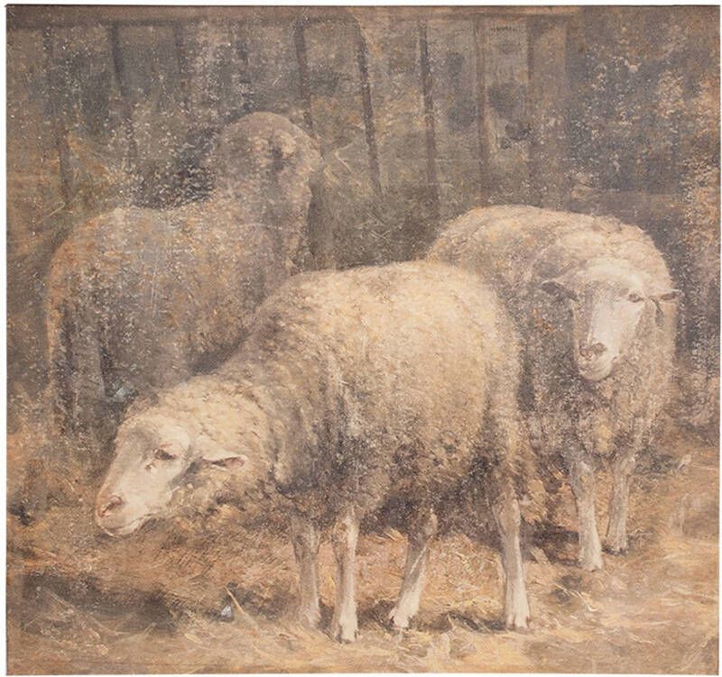 Clayre & Eef Schilderij 50x3x50 cm Bruin Canvas Schaap Bruin