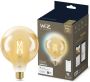WiZ Connected WiZ Smart Filament lamp Globe XL Warm tot Koelwit Licht E27 - Thumbnail 2