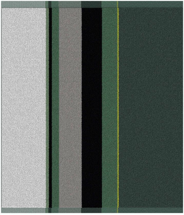 DDDDD 6x Keukendoek Rico Groen Set van 6 stuks - Foto 2