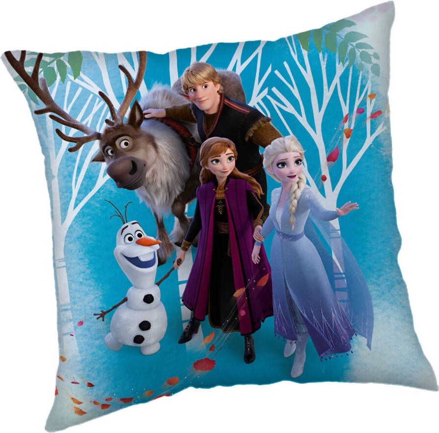 Disney Frozen Sierkussen Family 40 x 40 cm Polyester