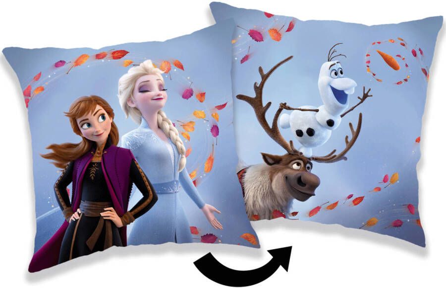 Disney Frozen Sierkussen Wind 35 x 35 cm Polyester