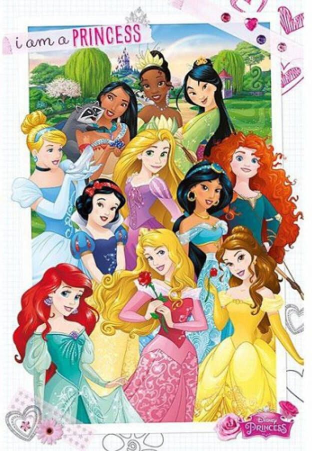 Disney Prinsessen maxi poster 61 x 91 5 cm Posters